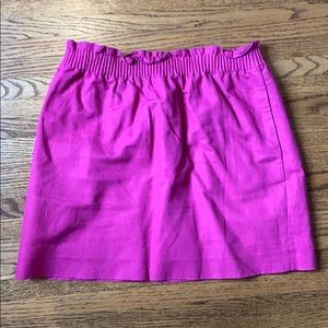 JCrew Factory City Skirt